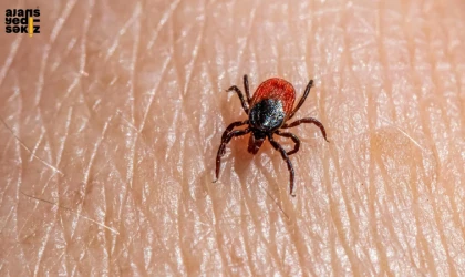 KKKA şüphesiyle tedavi altına alınan 21 yaşındaki genç yaşamını yitirdi.