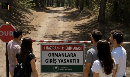 Karabük'te 31 Ekim'e kadar sürecek ormanlara giriş yasağı bugün başladı.