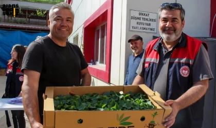 TAKE Projesi kapsamında çiftçilere toplam 135 bin fide desteği sağlandı.