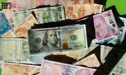 Bir önceki aya göre, Türk lirası karşısında dolar yüzde 1,49, avro yüzde 1,59 yükseldi