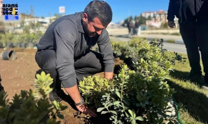 Karabük Daha Da Yeşilleniyor!
