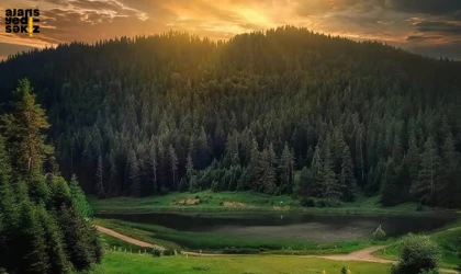 Karabük, orman varlığıyla Türkiye'nin en yeşil ili oldu.