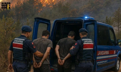16 ilde çıkan 44 yangınla ilgili 29 şüpheli tespit edildi, 6 şüpheli tutuklandı.
