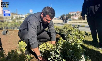 40 bin metrekare yeni peyzaj alanı oluşturulurken 58 bin ağaç ve çiçek dikildi.