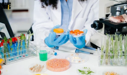 Laboratuvar testlerinde ürünlerin Gıda Kodeksi'ne uygun olduğu belirlendi.