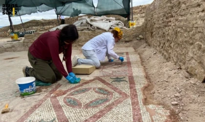 Pompeiopolis’te MS 4. yüzyıla ait mozaik ve MS 2. yüzyıldan Eros başı bulundu.