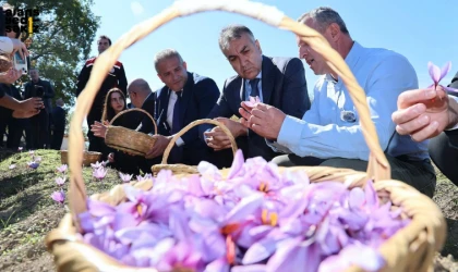 Bilimsel yöntemlerle verimliliğin artırılması hedeflenen projede hasat yapıldı.