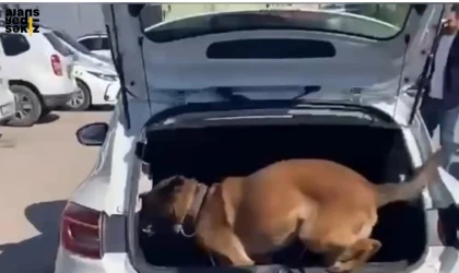 Narkotik köpeği Dora'nın da katıldığı operasyonda 3 kişi tutuklandı.